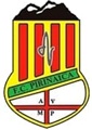 escudo FC Pirinaica