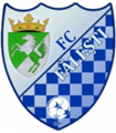 escudo FC Falesti