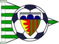escudo Victoria CF