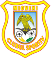 escudo CS Mioveni