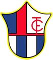 escudo Torreblanca CF