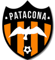 escudo Patacona CF
