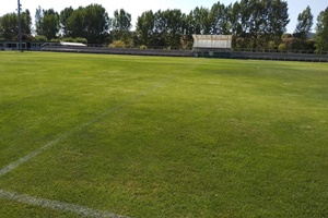 campo de futbol